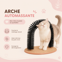 Jouet pour Chat Arcade Grattoir Brosse Massage Autonome