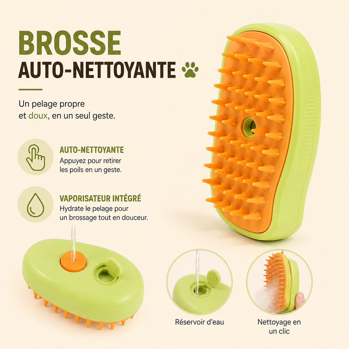 Brosse chat