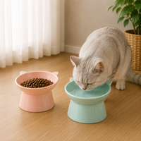 Gamelle Chat Inclinée Anti-Régurgitation