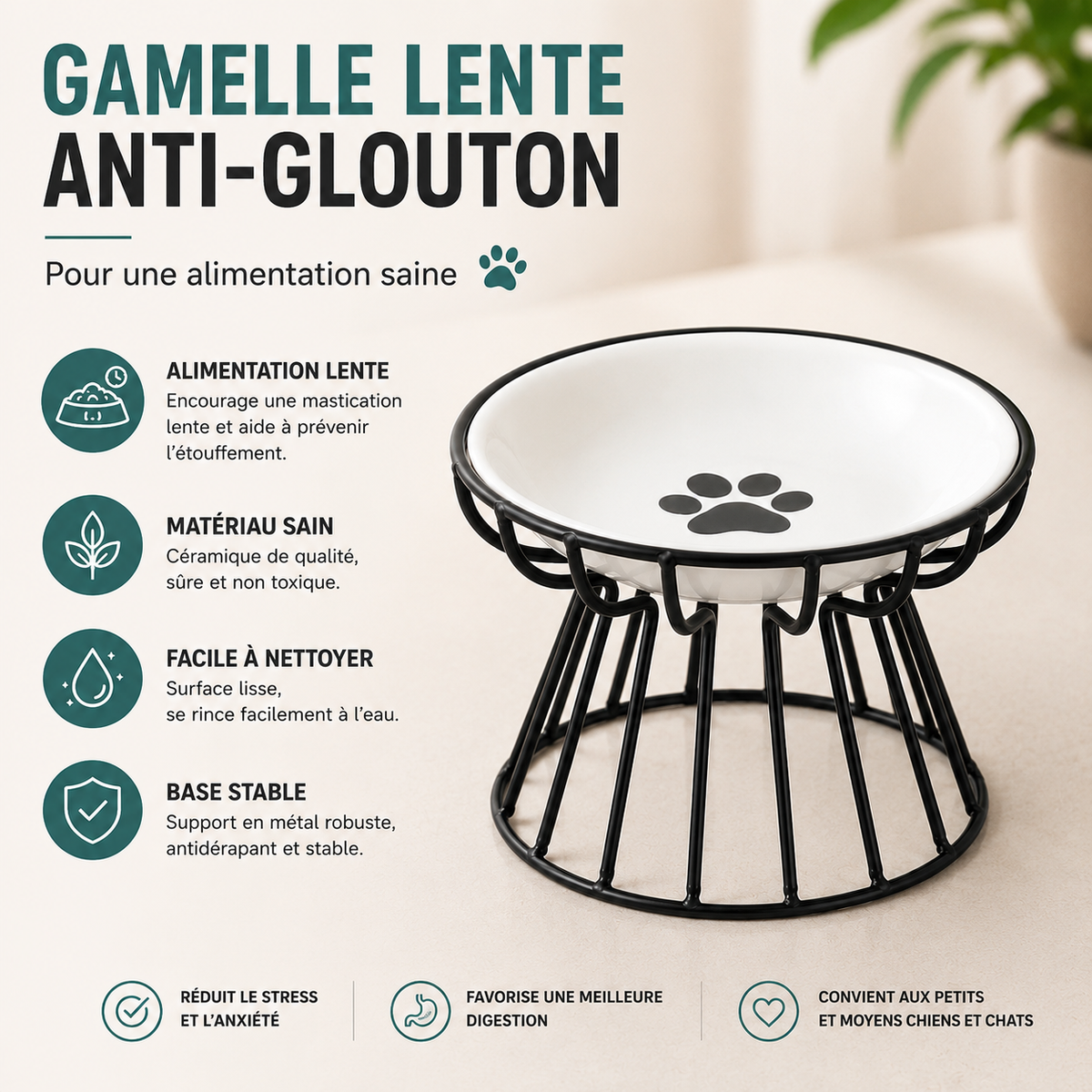 Gamelle cat