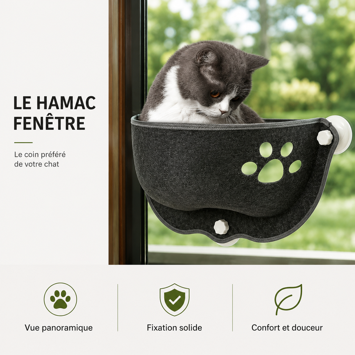Hamac chat