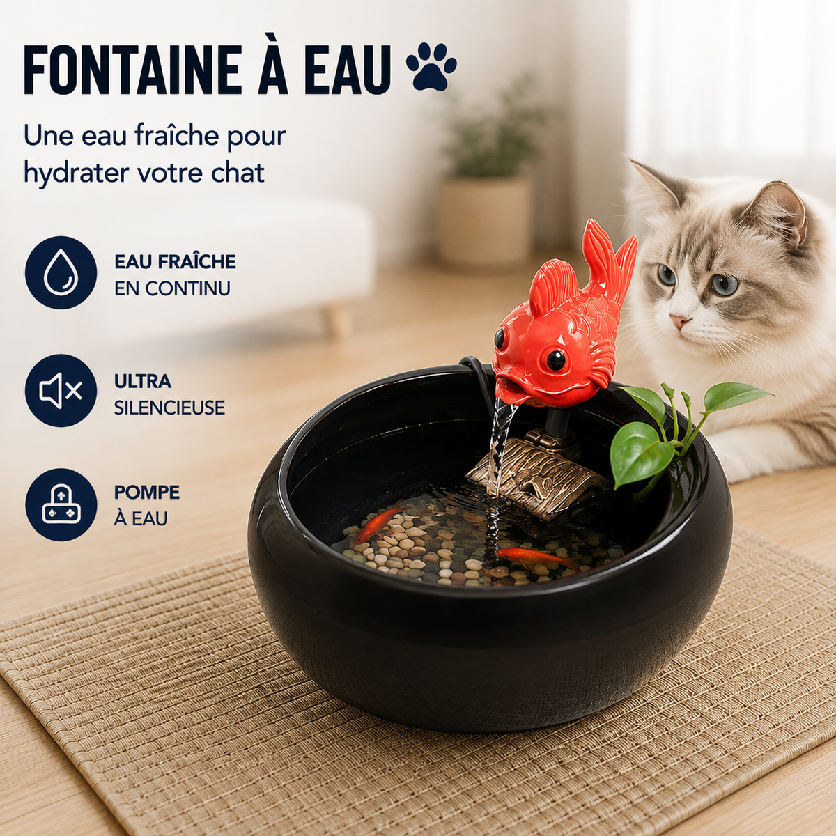 Distributeur eau