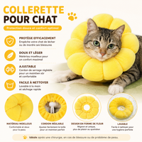 Colerette