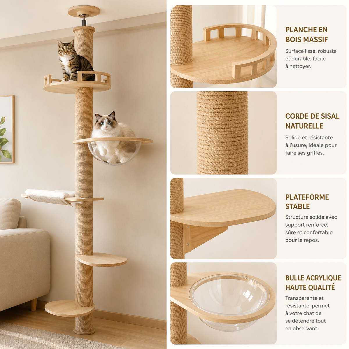 Arbre a chat