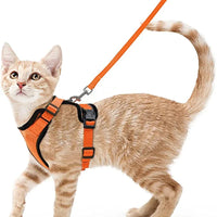 Harnais Chat Confort
