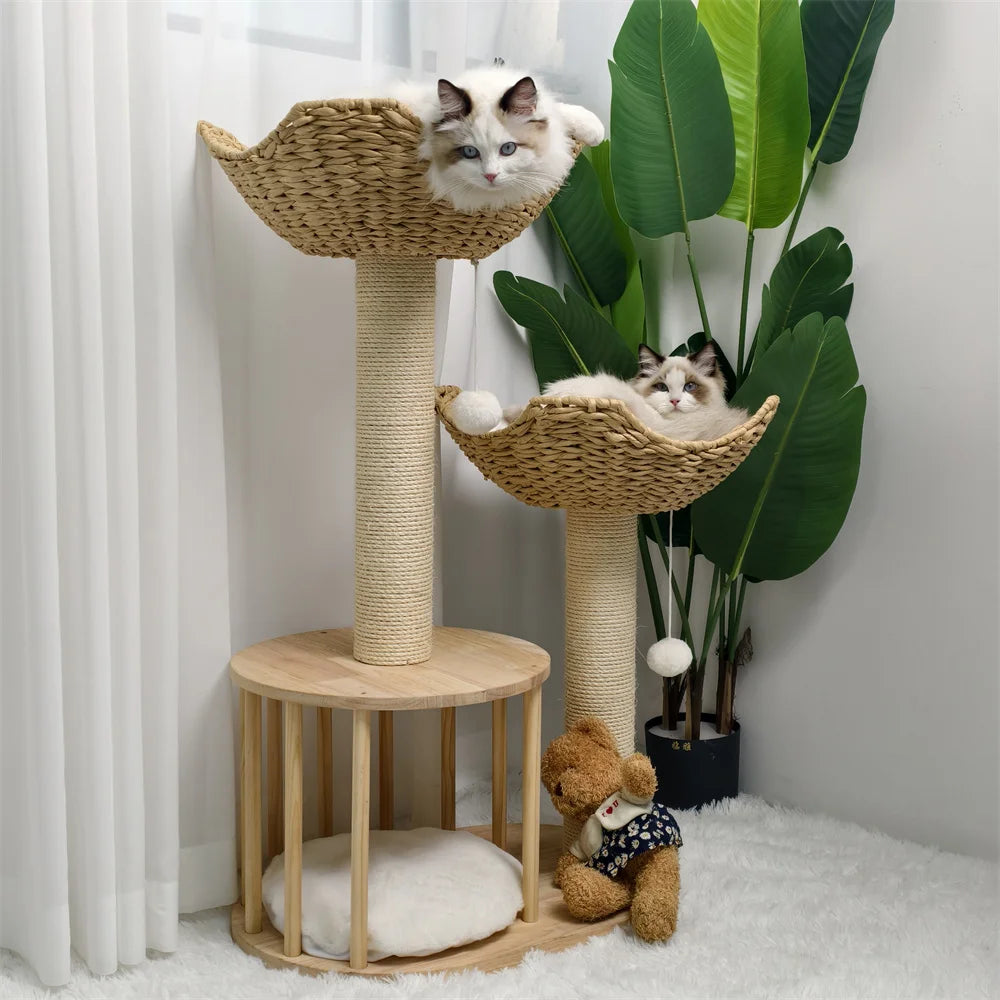 Arbre a chat
