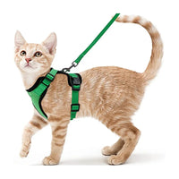 Harnais Chat Confort