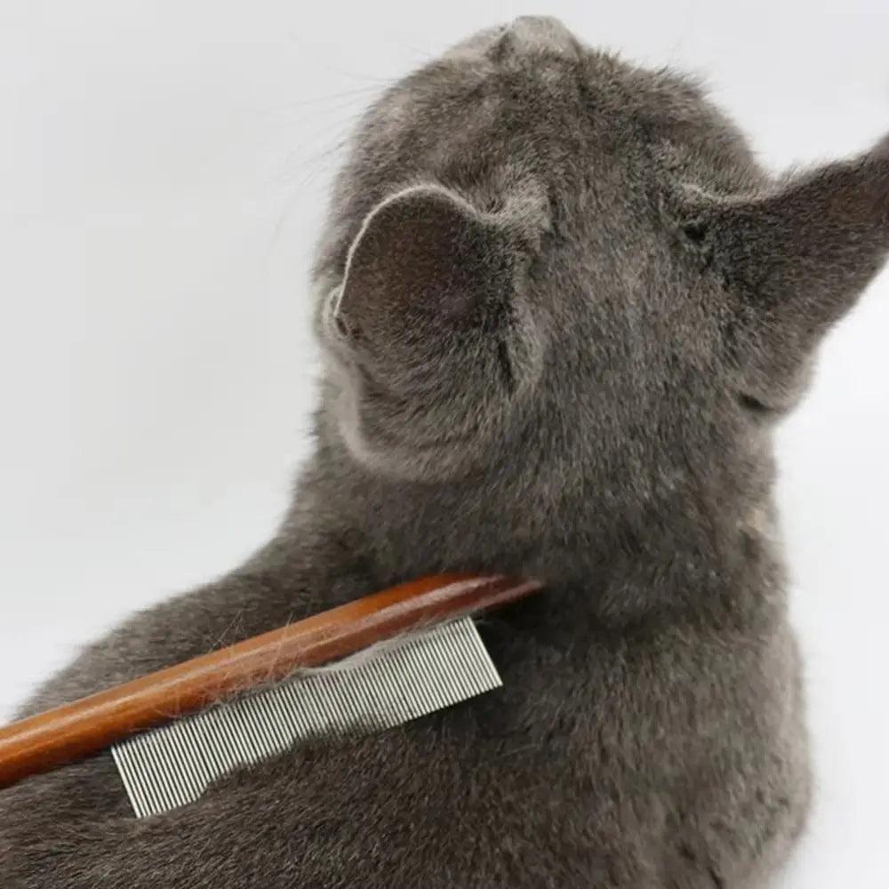 Peigne chat