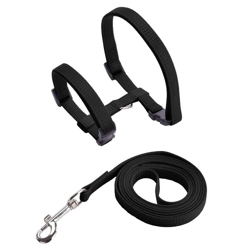 Harnais et Laisse pour Chat Lumineux LED
