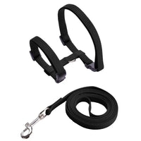 Harnais et Laisse pour Chat Lumineux LED
