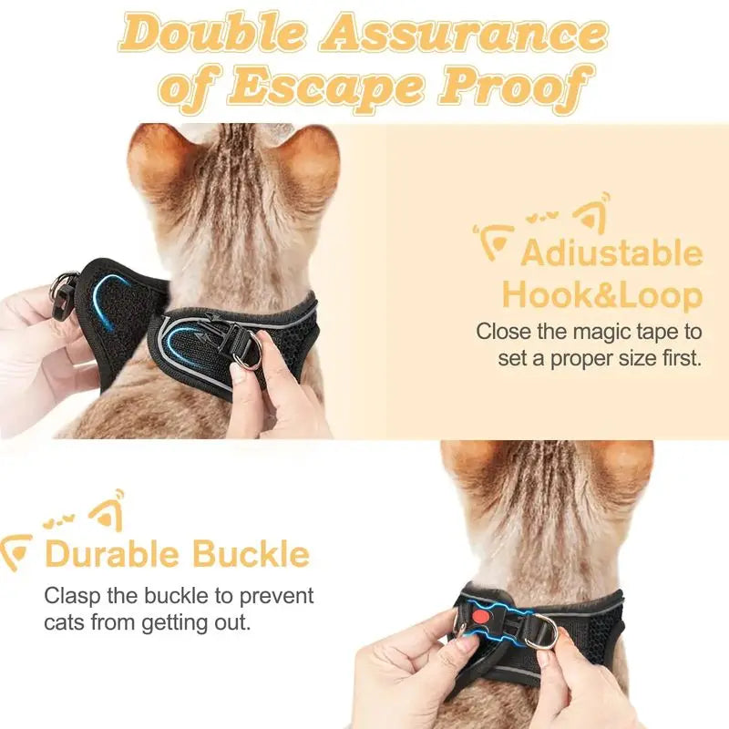 2pcs Anti-escape cat harness and leash set with reflective soft net vest, suitable for safe outdoor activities with kittens