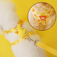 No Pull Cat Harness and Leash Set for Walking Escape Proof, Adjustable Nylon Mesh Cute Cat Harness for Cats Small Medium Dogs