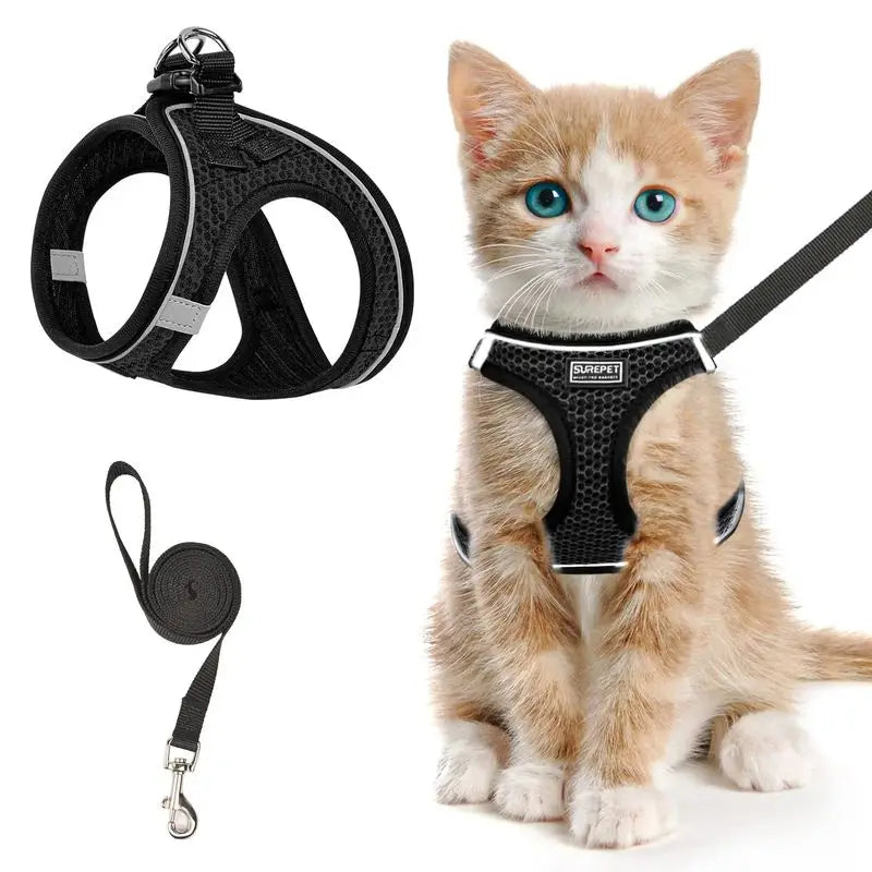 2pcs Anti-escape cat harness and leash set with reflective soft net vest, suitable for safe outdoor activities with kittens