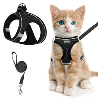 2pcs Anti-escape cat harness and leash set with reflective soft net vest, suitable for safe outdoor activities with kittens