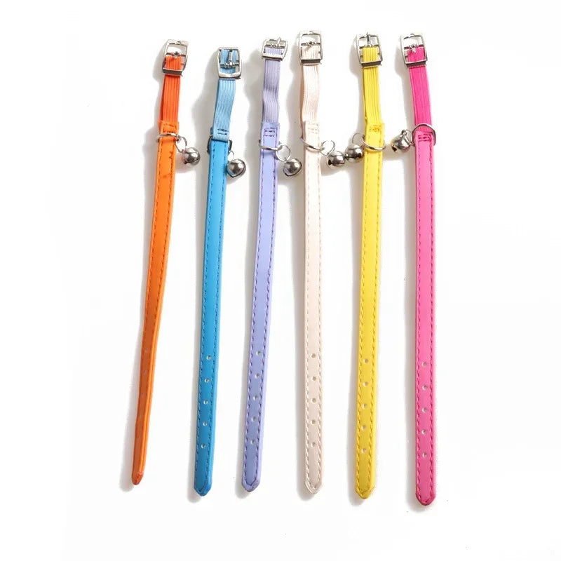 Collier Chat Élastique avec Grelot