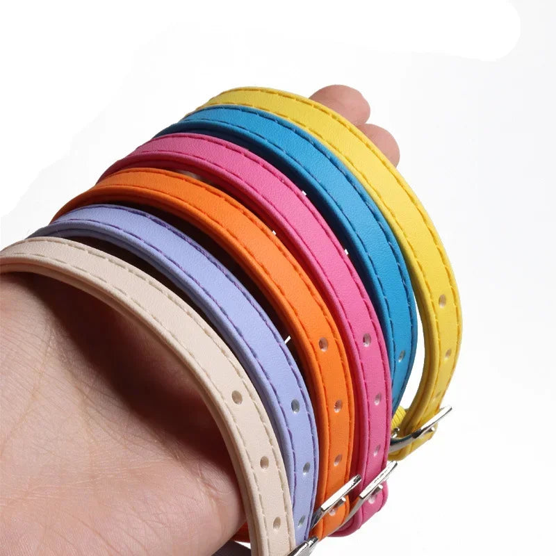 Collier Chat Élastique avec Grelot