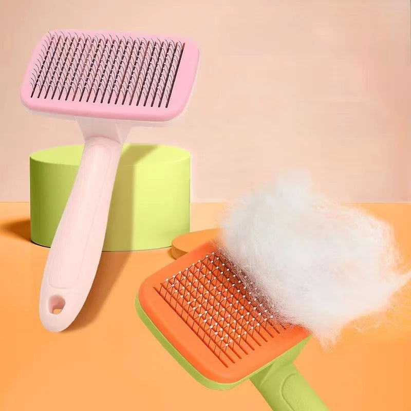 Brosse chat