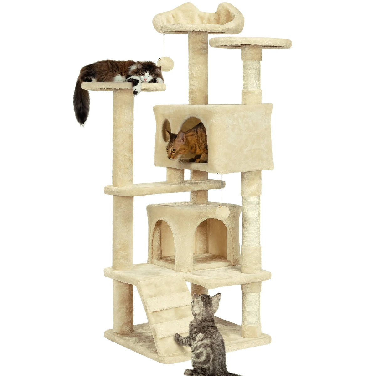 Arbre a chat