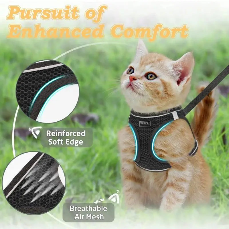 2pcs Anti-escape cat harness and leash set with reflective soft net vest, suitable for safe outdoor activities with kittens