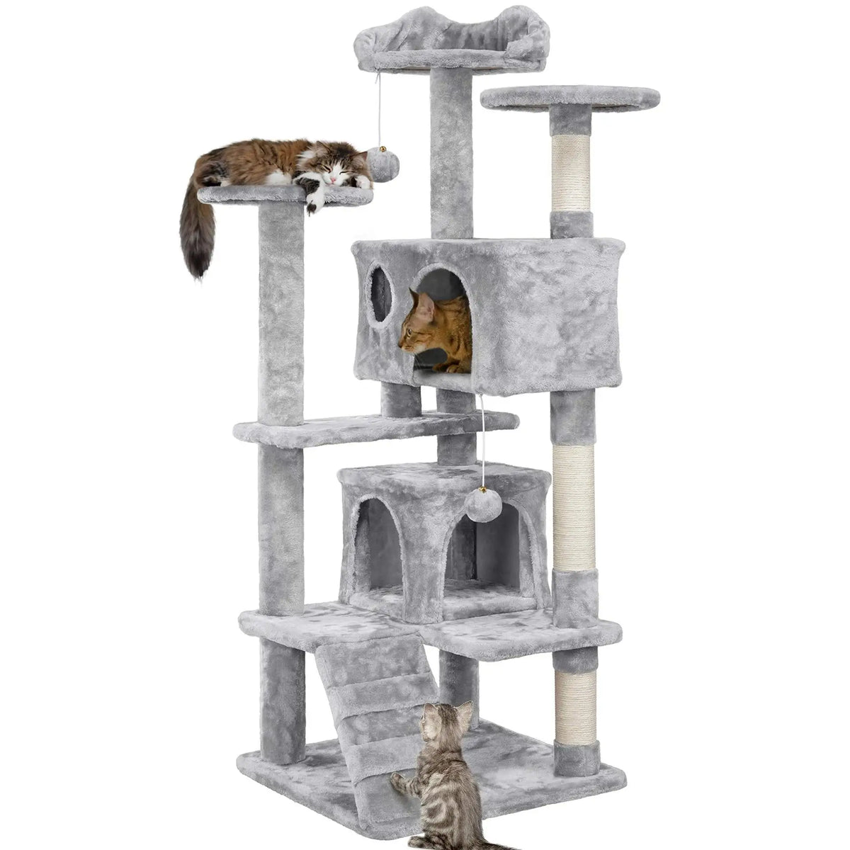 Arbre a chat