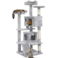 Grand Arbre à Chat avec Deux Niches et Rampe