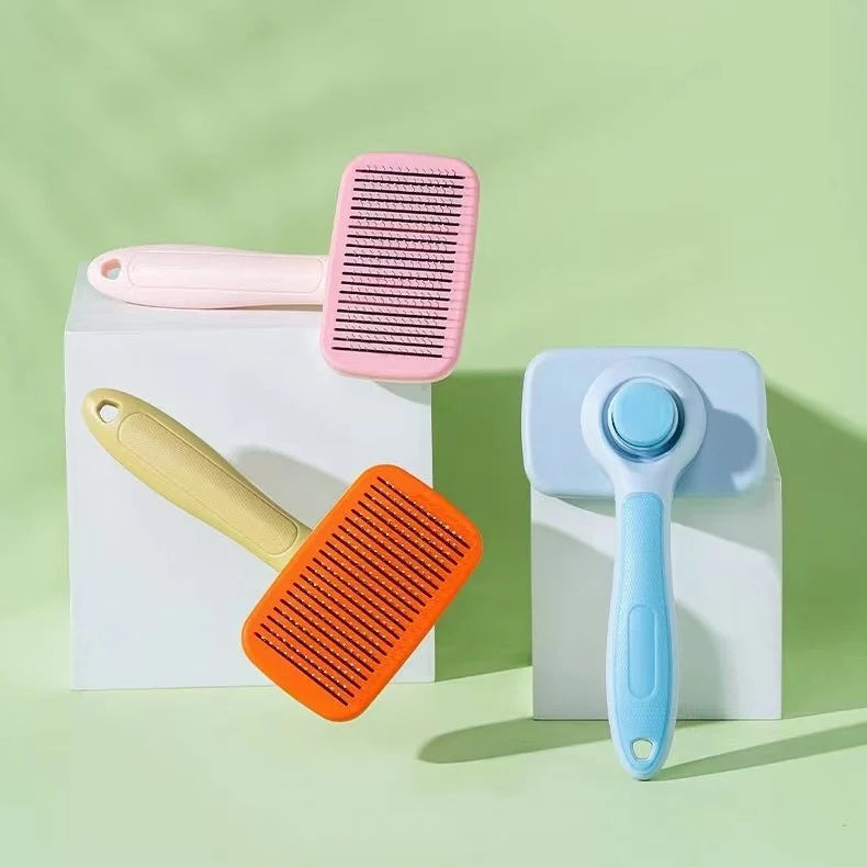 Brosse chat