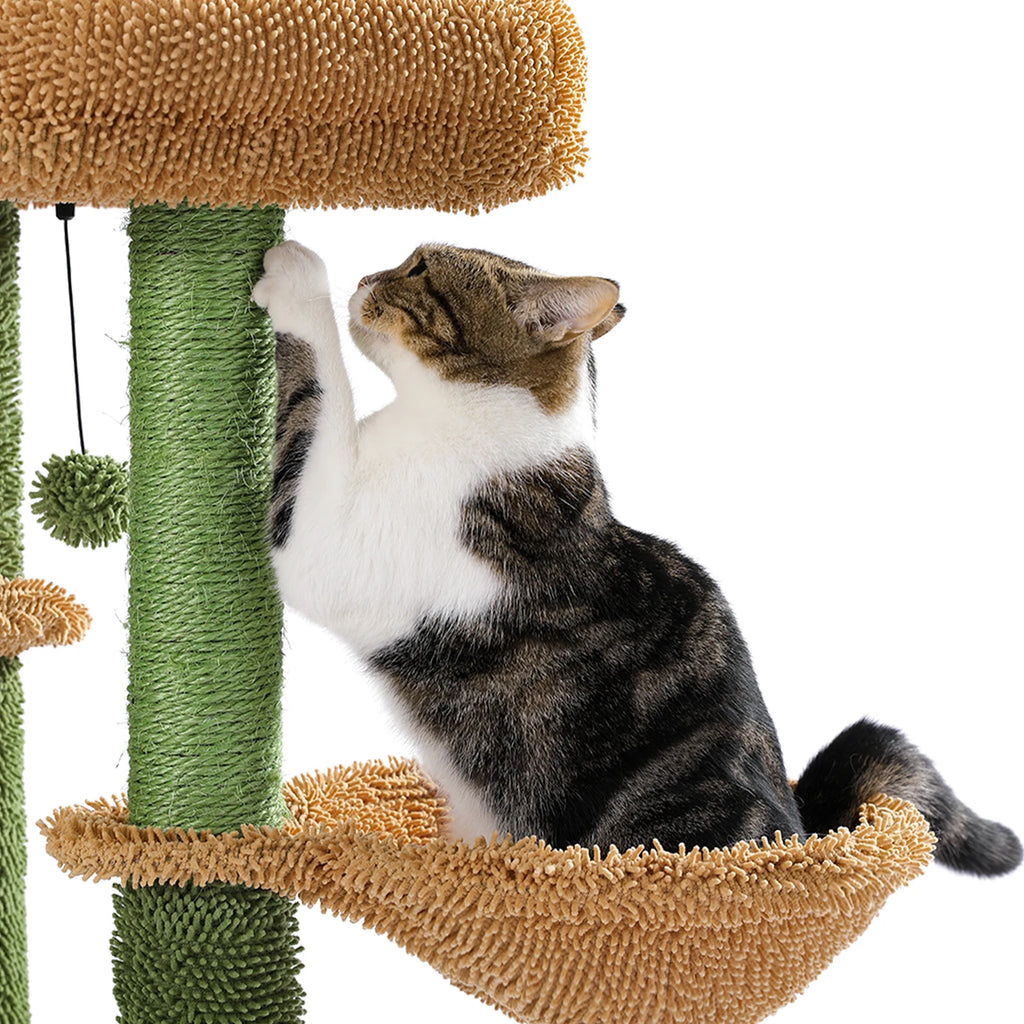 Arbre a chat