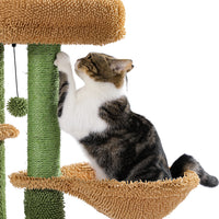 Arbre a chat
