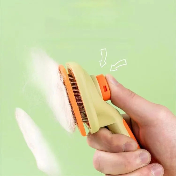 Brosse chat