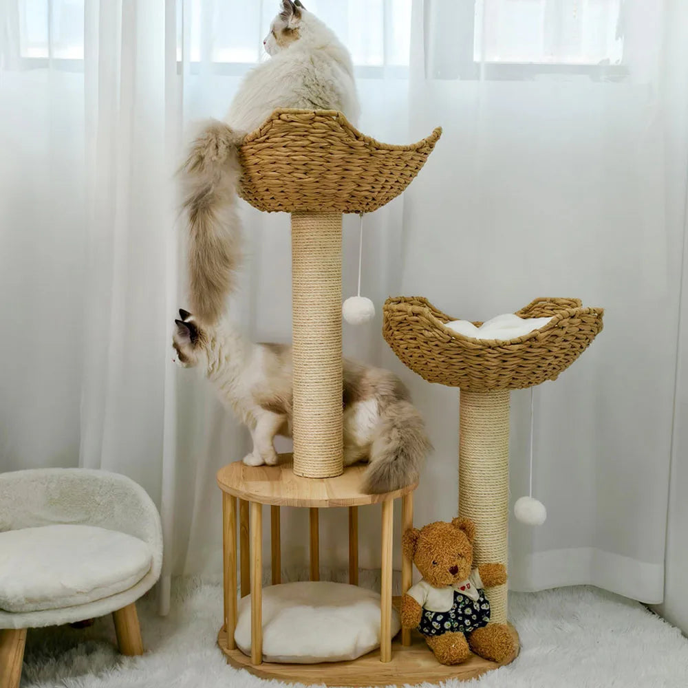 Arbre a chat