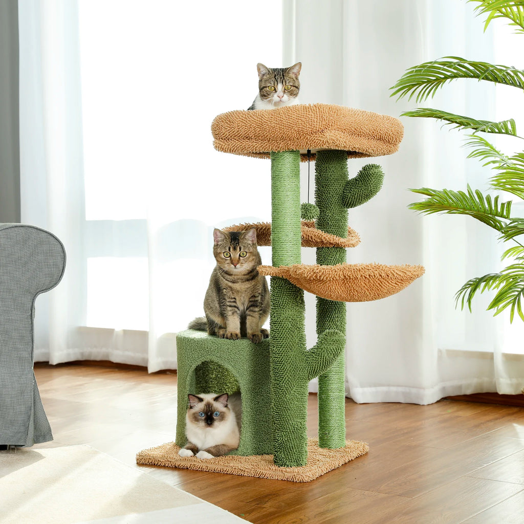 Arbre a chat