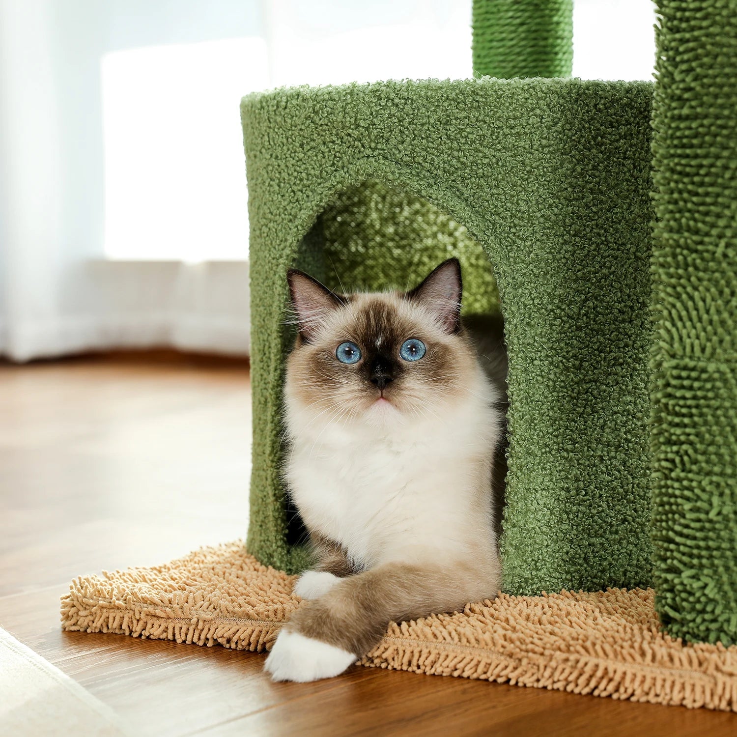Arbre a chat