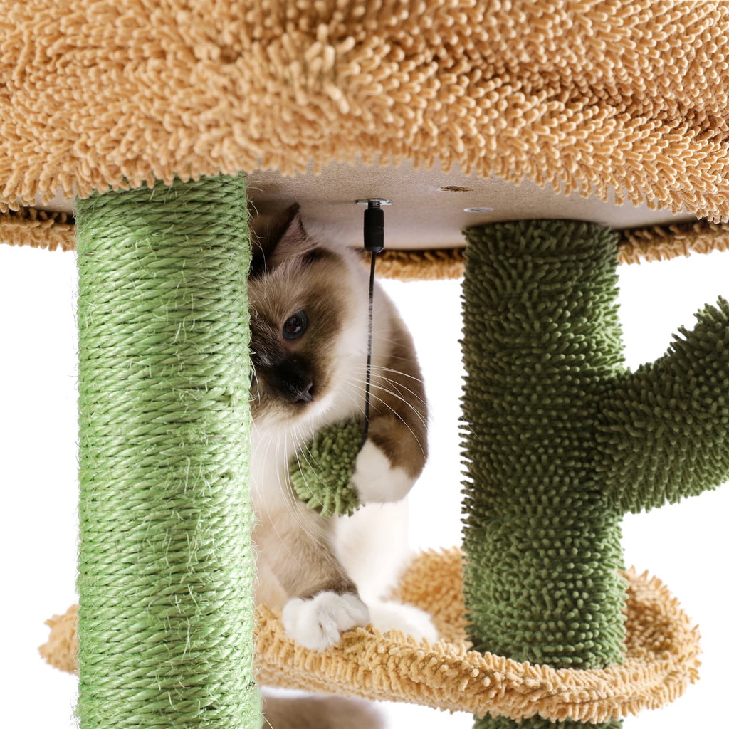 Arbre a chat