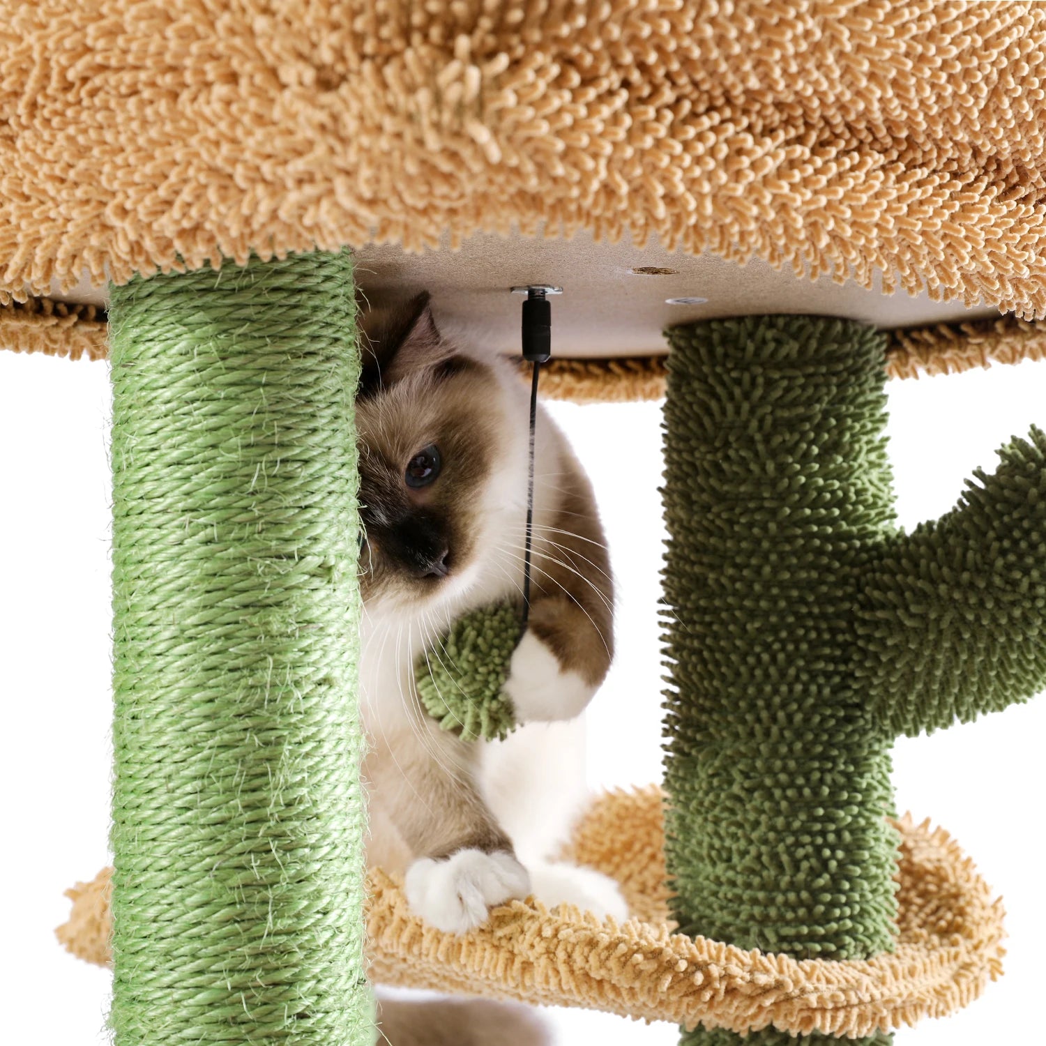 Arbre a chat