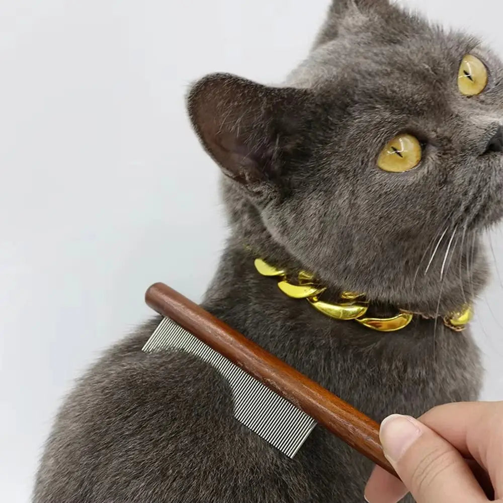 Peigne chat