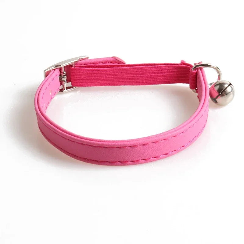 Collier Chat Élastique avec Grelot