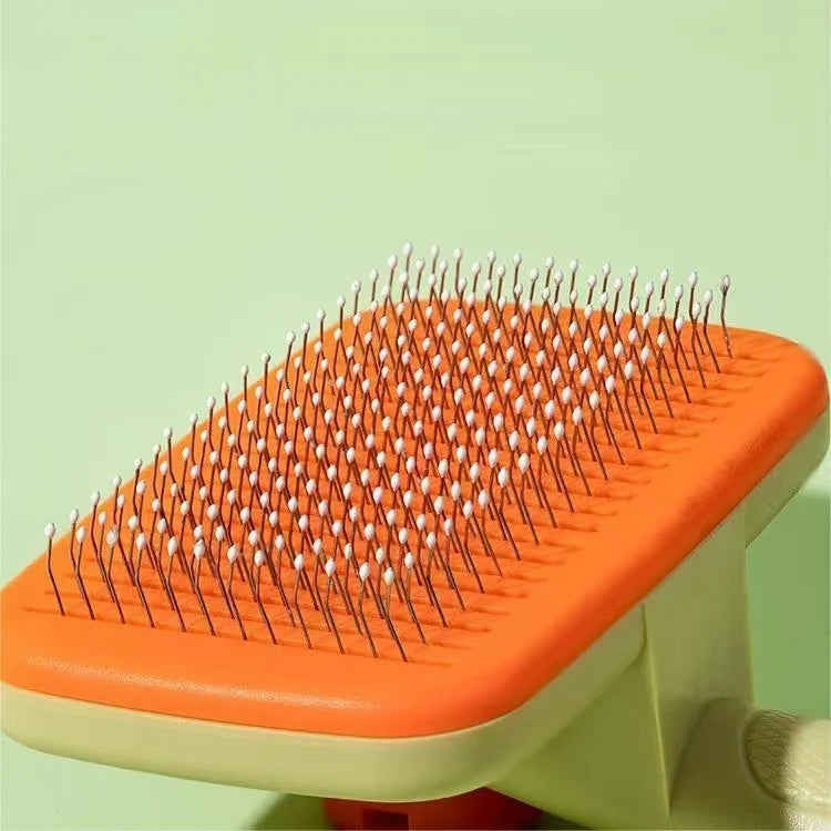 Brosse chat