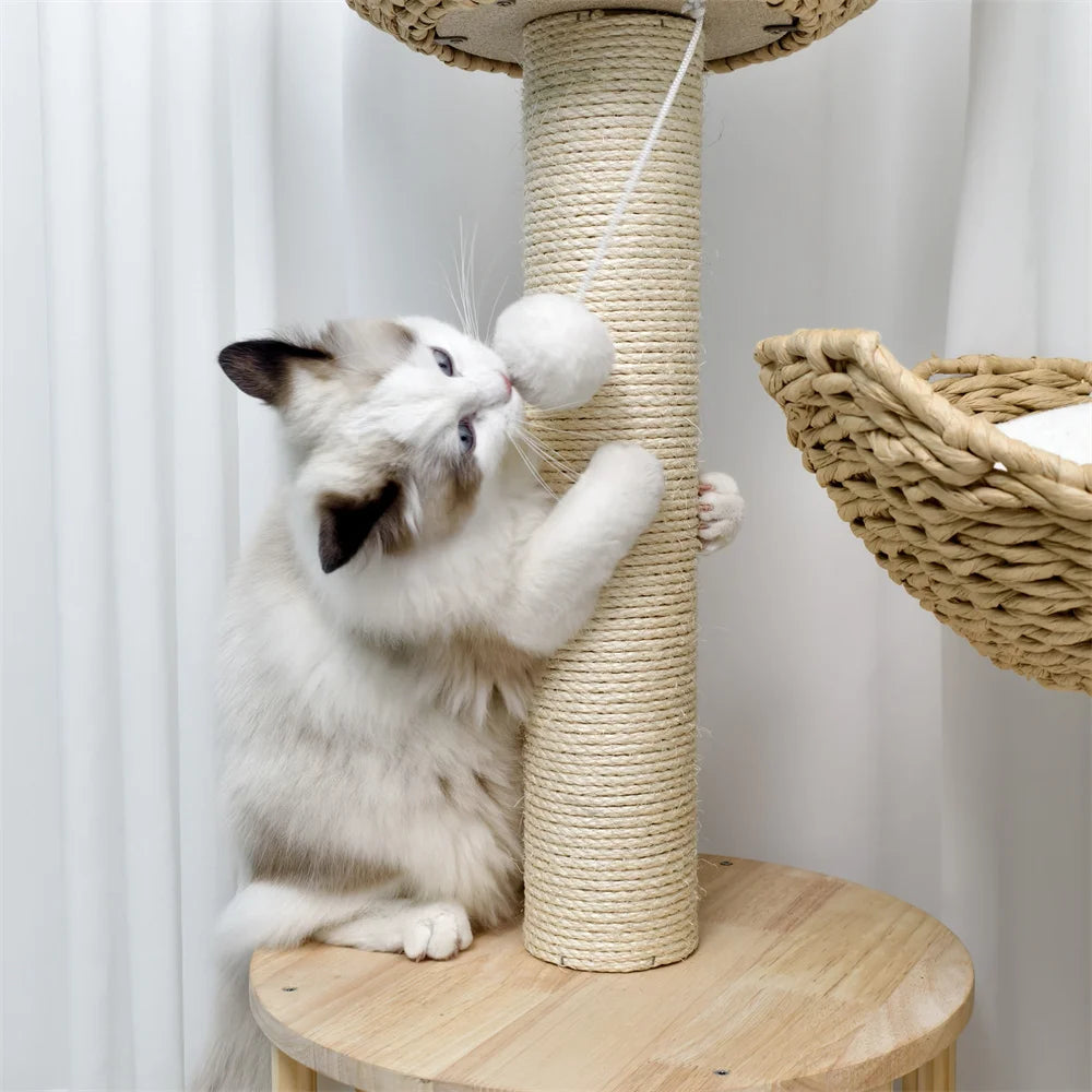 Arbre a chat