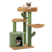 Arbre a chat