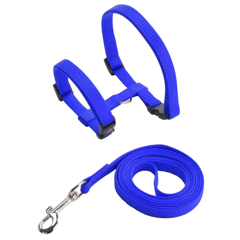 Harnais et Laisse pour Chat Lumineux LED
