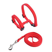 Harnais et Laisse pour Chat Lumineux LED